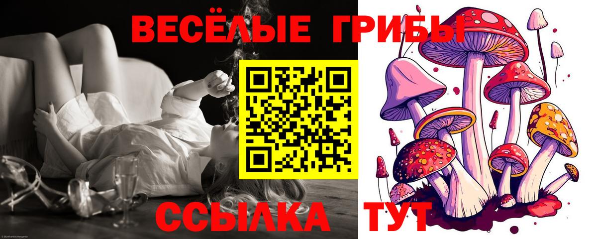 Галлюциногенные грибы Cubensis Советская Гавань