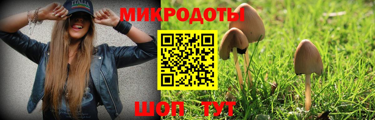 Галлюциногенные грибы мухоморы  Вход с VPN  Советская Гавань  Псилоцибиновые грибы Psilocybine cubensis 